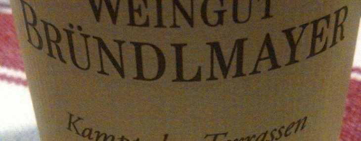 2009 Weingut Brundlmayer Kamptaler Terrassen Riesling