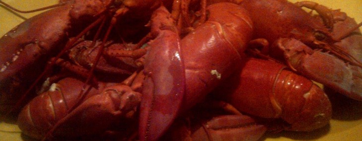 Lobsterfest in the Comfort of My Home