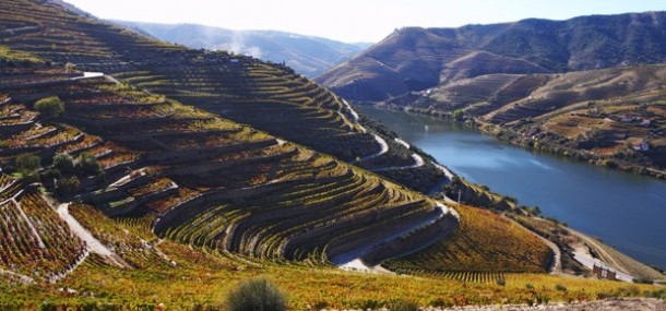 2005 Quinta da Gaivosa Lordelo Tinto Douro