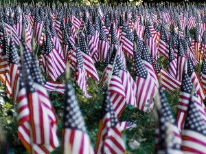 Memorial Day Flag