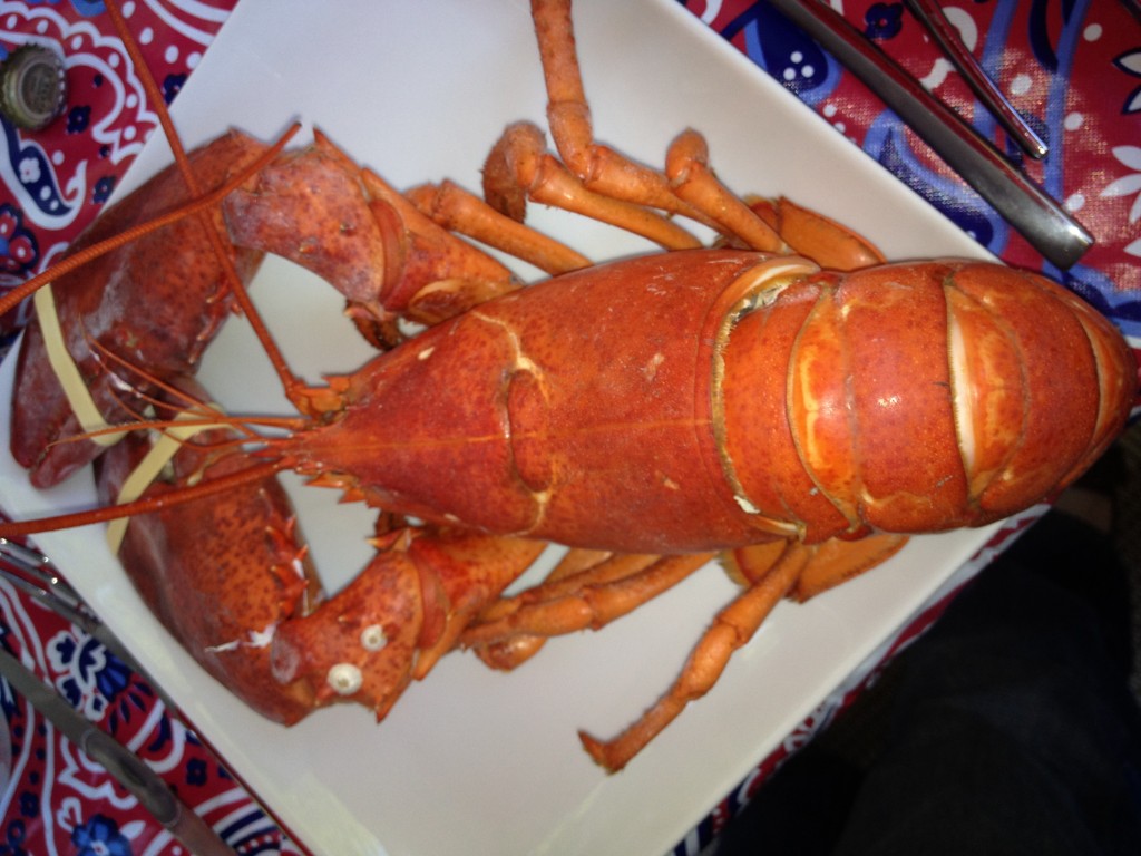 The Food and Wine Chickie 2nd Annual Lobsterfest Food & Wine Chickie