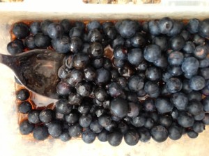 Blueberries with Jam