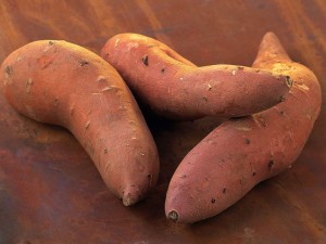 sweet-potato