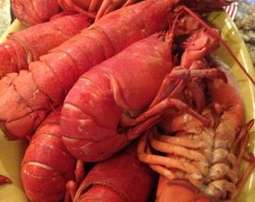 2013 Food & Wine Chickie Lobsterfest