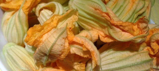 Fiori Di Zucchine – Fried Zucchini Blossoms