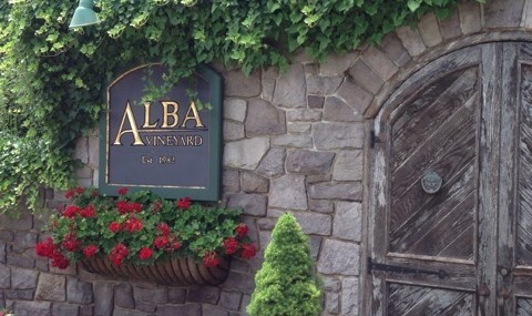 Alba Vineyard – New Jersey Wines Anyone?