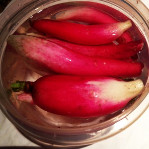 Radishes