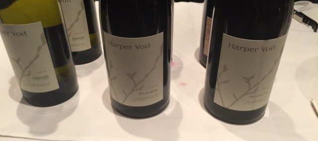 Harper Voit – Obsessively Crafted Willamette Valley Wines