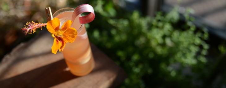 Cognac Cocktails for Spring