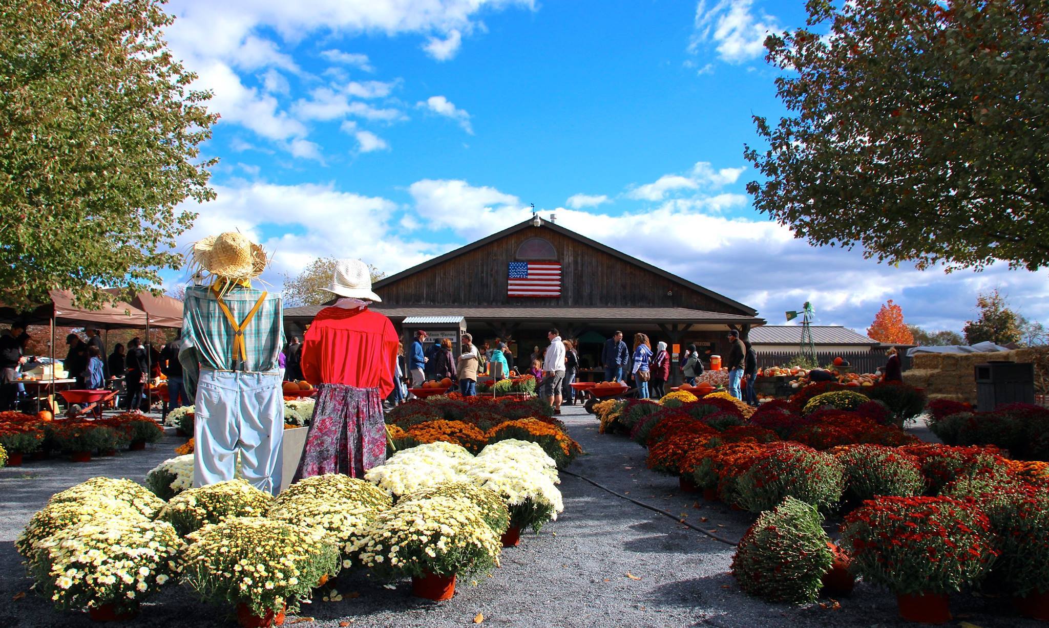 hackettstown farmer Archives Food & Wine Chickie Insider