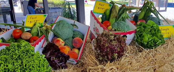 Donaldson Farms Healthy Bites Buying Club CSA